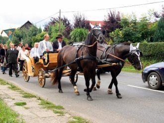 IMG_4737